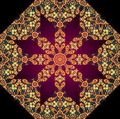 Golden mandala Circle elements texture Vector art