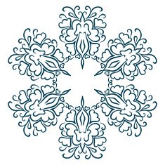 Isolated Abstract Floral pattern N17