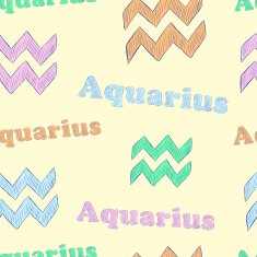 Aquarius Libra