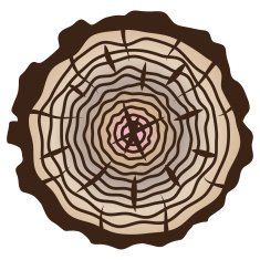 vector tree rings background and saw cut trunk