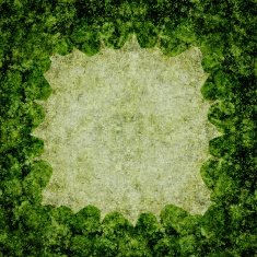 green grunge texture