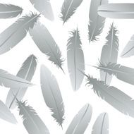 Feathers pattern N8