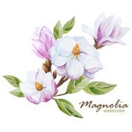 Magnolia set