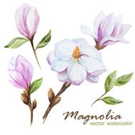 Magnolia set N2