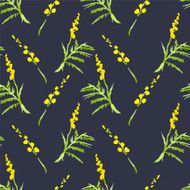 Sprig Mimosa Spring Watercolor Background