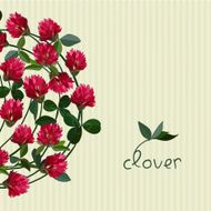 vector floral card N4
