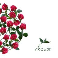 vector floral card N5
