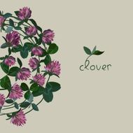 vector floral card N8