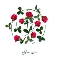 vector floral card N9