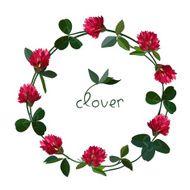 vector floral card N10