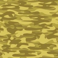 Army camouflage