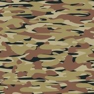 Army camouflage N2