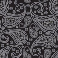 seamless paisley ornament N2
