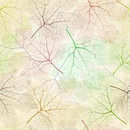 Seamless color maple leaves pattern