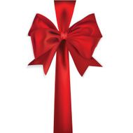 Shiny red satin ribbon N3