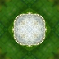 Green abstract pattern N36