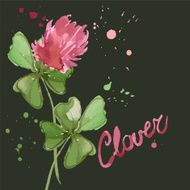Floral Pattern Clover Flowers N4