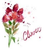 Floral Pattern Clover Flowers N5
