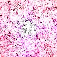 pink grunge background N2