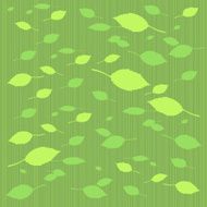 Leaf background pattern
