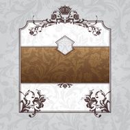 royal ornate vintage frame N2