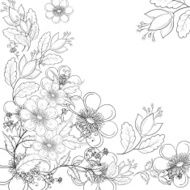 Flower background contours N2