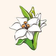 flower theme elements vector eps N264