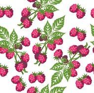 Seamless berry ornament color 310