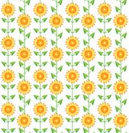 Seamless pattern sunflowers on white