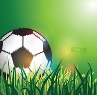 soccer ball on the field background N2