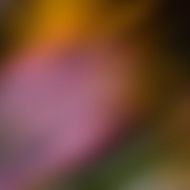 Abstract defocused colorful blurred background