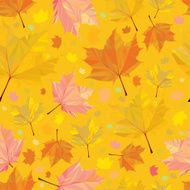 Polygonal maple pattern