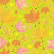 Polygonal maple pattern N2