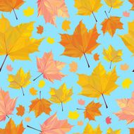 Polygonal maple pattern N3