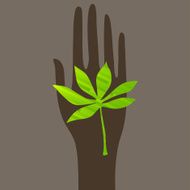 Green Leaf N15