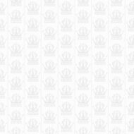 vintage background grey N13