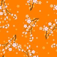 flowering cherry N2