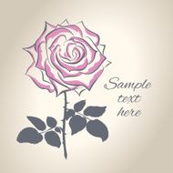 Hand drawing rose flower vector illustration