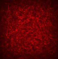Red Texture Background for you design