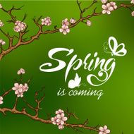 Typographic Design Lettering Spring design with butterflies N5