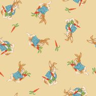Pattern of rabbit N2