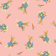 Pattern of rabbit N4