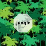 palm thickets N2