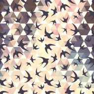 swallow and hexagons