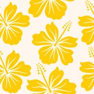 Colorful hibiscus wallpaper