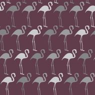 Birds N35