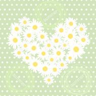 Seamless pattern with heart of camomiles