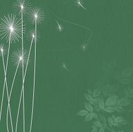 Dandelions N10
