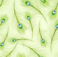 Feather Patterns