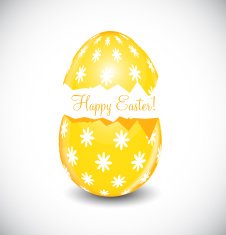 Beautiful Easter Egg Vector Illustration N2